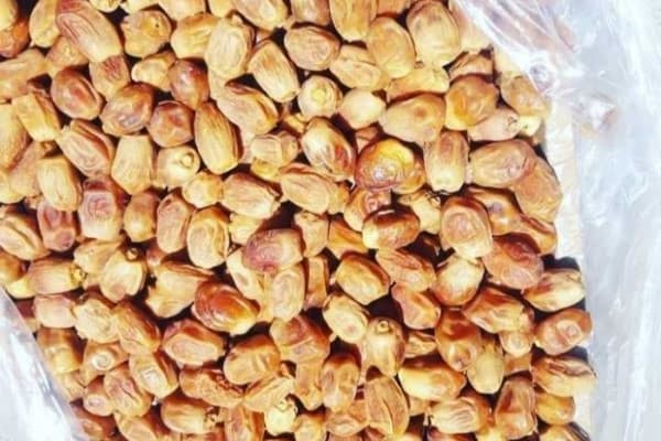 تصویر 4 از خرید خرما درشت صادراتی + قیمت فروش استثنایی